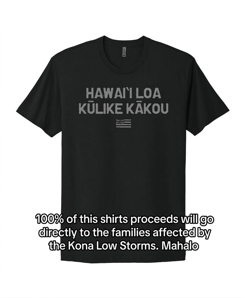 Hawaii Stands Together T-Shirt in Black – Hae Hawaii